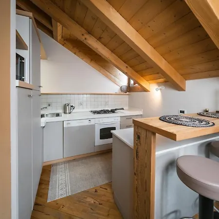 Apartment Ciasa Gianot - Shin Moena