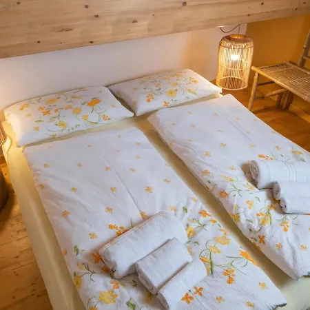 Apartment Ciasa Gianot - Shin